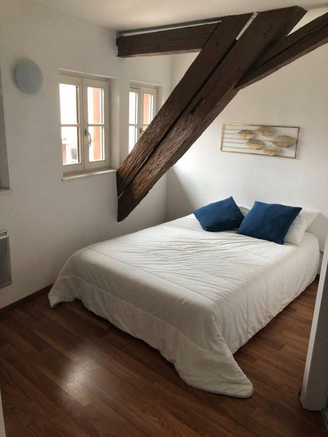 Appartement Avec Balcon Centre Ville Strasbourg Estrasburgo Exterior foto